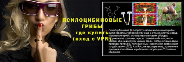 крисы Карпинск
