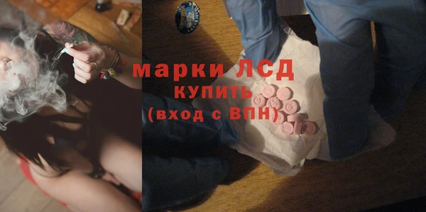 крисы Карпинск