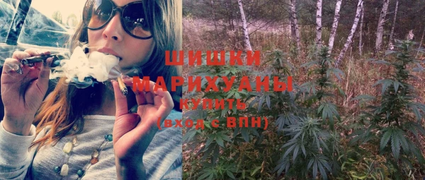 ПСИЛОЦИБИНОВЫЕ ГРИБЫ Карталы