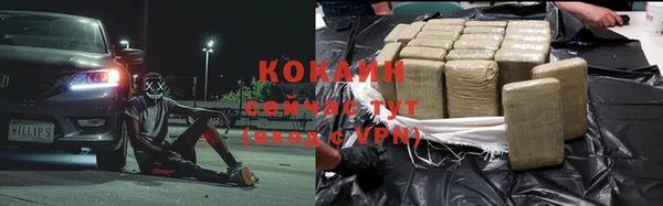 крисы Карпинск