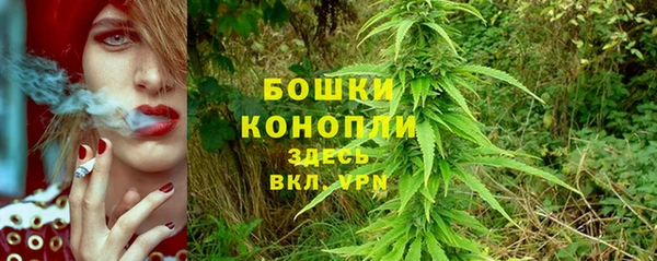 крисы Карпинск