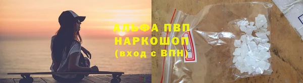 ПСИЛОЦИБИНОВЫЕ ГРИБЫ Карталы