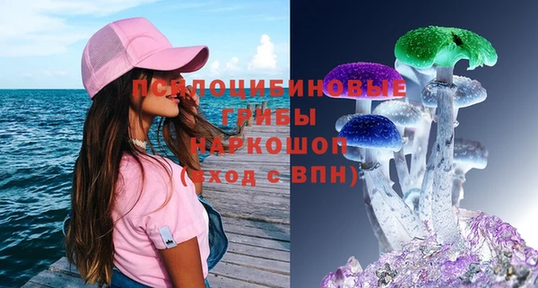 крисы Карпинск