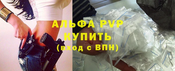 СК Касимов