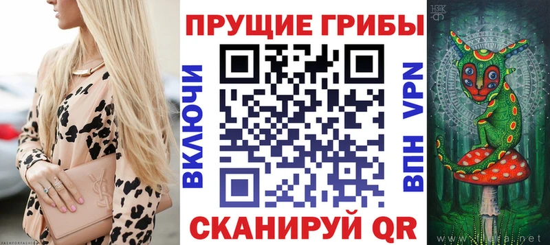 Купить где  Судогда  Галлюциногенные грибы Magic Shrooms 